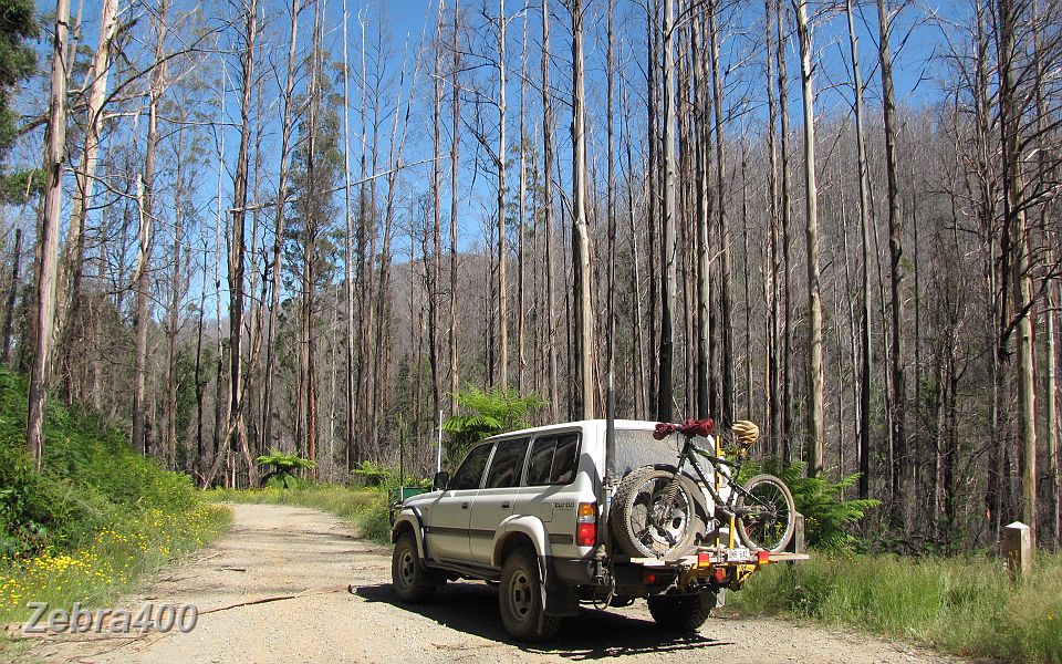 12-Very little traffic is seen on the dirt roads around Marysville.JPG